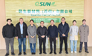 Welcome experts to visit eSUNFiber for inspection and guidance!