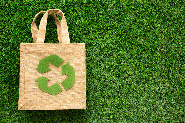 ecological-bag